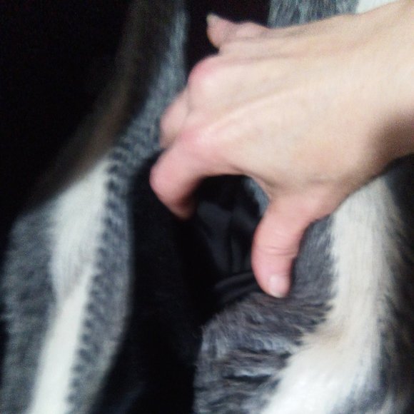 Rare Find "Saint Laurent" Faux Fur Coat - Picture 7 of 16